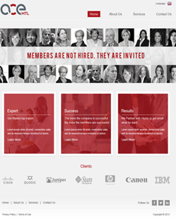 Portfolio of Flat Website Design