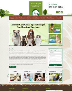 Portfolio of Flat Website Design