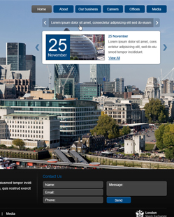 Portfolio of Flat Website Design