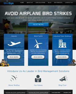 Portfolio of Flat Website Design
