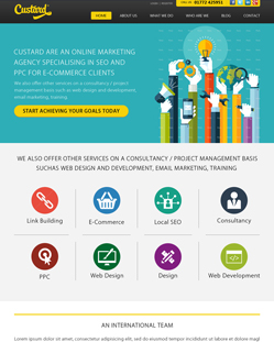 Portfolio of Flat Website Design