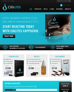 Portfolio of Flat Website Design