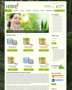 Portfolio of Flat Website Design