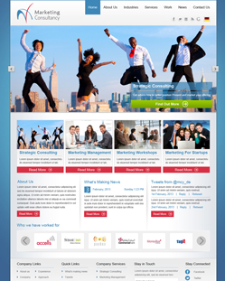 Portfolio of Flat Website Design