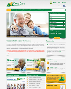 Portfolio of Flat Website Design