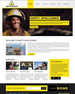 Portfolio of Flat Website Design